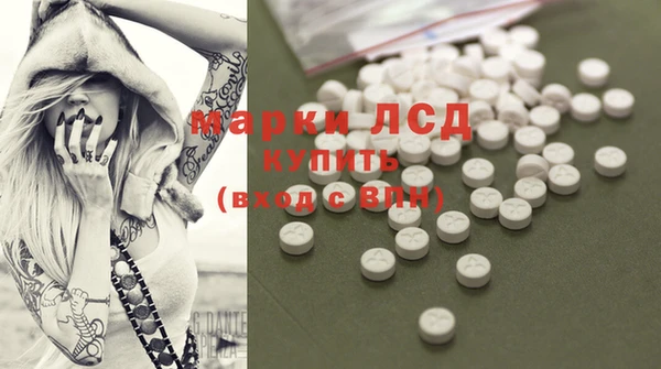 крисы Алзамай