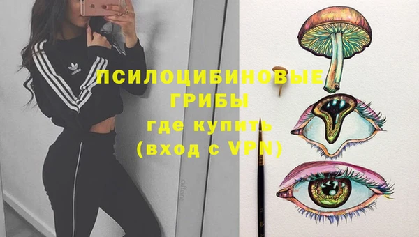 стафф Алексин