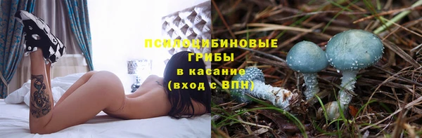 стафф Алексин
